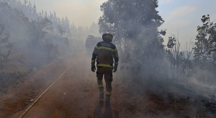 Bombero combatiendo incendio forestal en Chile