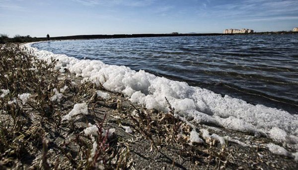 El Mar Menor, en Murcia, en peligro por contaminación