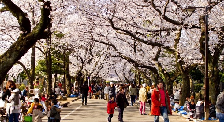 Asakusa