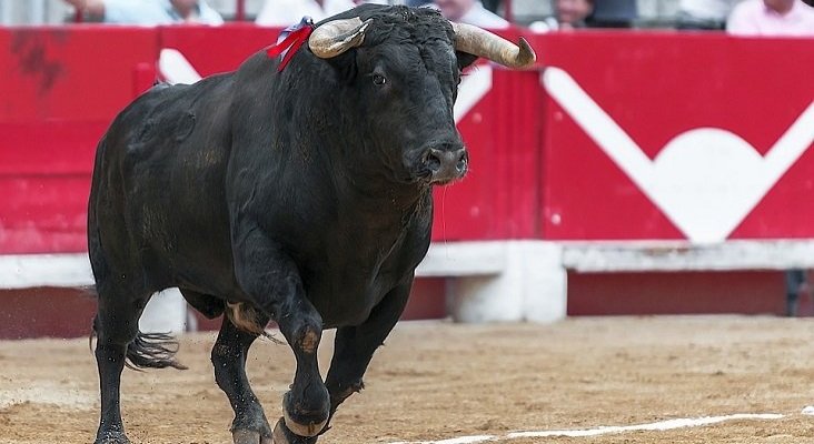 Palma (Mallorca) celebra hoy su primera corrida de toros en dos años