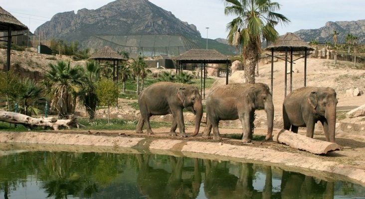 Terra Natura Benidorm Foto VisitBenidorm