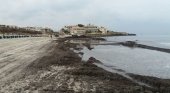 La retirada del 'sargazo español' en Mallorca crispa a los ecologistas | Foto: Conselleria de Medi Ambient i Territori vía Twitter