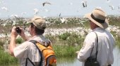 Birdwatchers