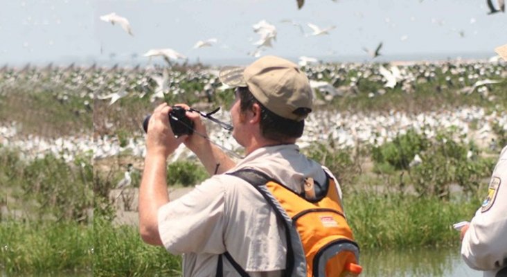 Birdwatchers, avistamiento de aves