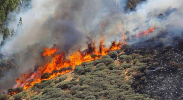 INCENDIO GRAN CANARIA EFE