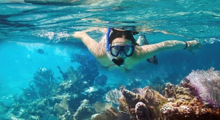 Siembran más de 3.000 corales en los arrecifes de Cancún  | Foto: Arrecife Garrafón- titicancun.com