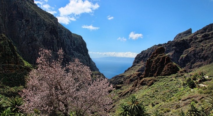 Montaña Masca, Tenerife