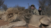 Indignación por la llegada de la caza 'low-cost': paga por un león y llévate una leona gratis