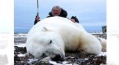 Los viajes de caza en el Ártico han acabado con 5.000 osos polares | Foto: MailOnline