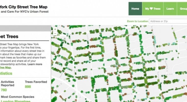 mapa de arboles nyc