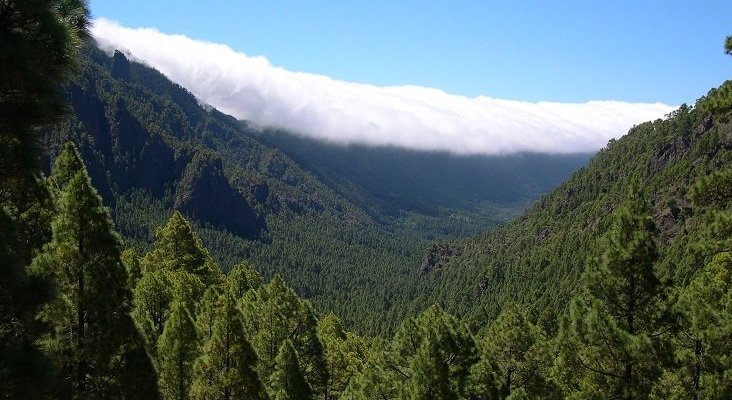 Parque Nacional Caldera de Taburiente crédito Luc Viatour via WikimediaCommons