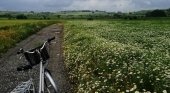 La mejor vacuna para la crisis del Covid-19: Planificación Turística |Foto Canal du Midi (Francia) @Arturo Crosby