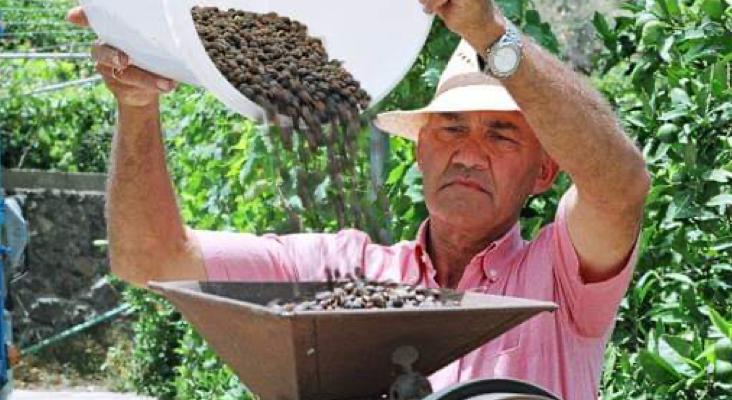 Inocencio Lugo, propietario de la finca la Laja & Bodega Los Berrazales