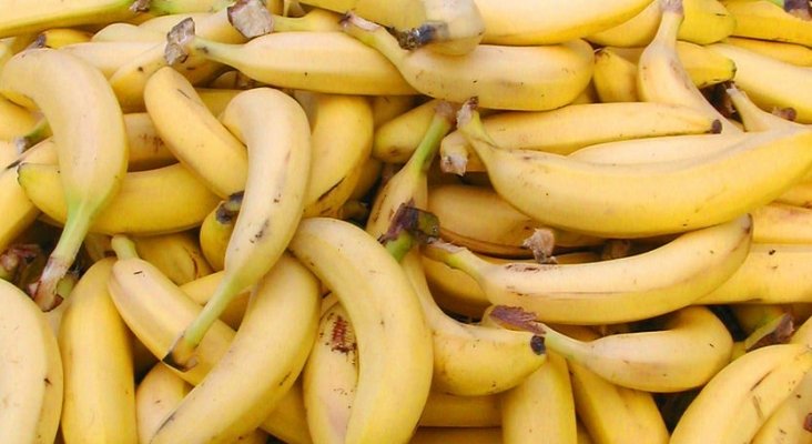 Plátanos de Canarias | Foto: Topicchio (CC-BY-2.0)
