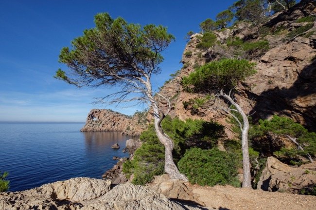 Mallorca se adhiere a la Organización Mundial del Turismo como nuevo miembro afiliado