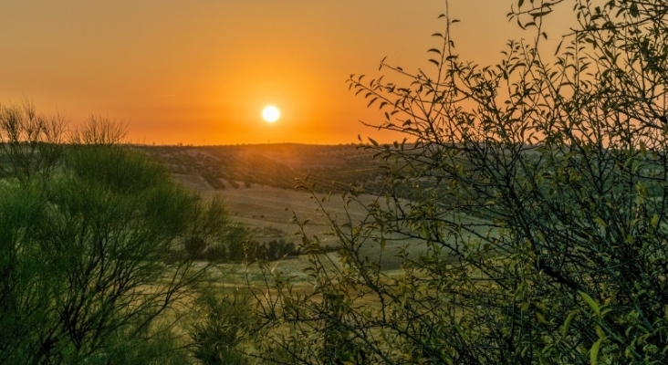 Paisaje de Toledo