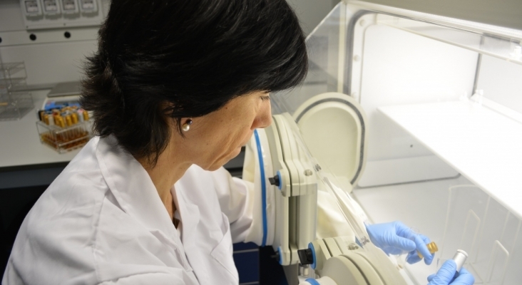 En el laboratorio, haciendo los PCR En el laboratorio, haciendo los PCR