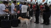 Tripulante de Air Europa sufre el ataque de perro antidrogas en el Aeropuerto de Santo Domingo | Foto: Unidad canina entre pasajeros Foto El Viajero Digital