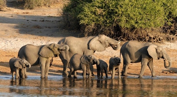 Botswana aplicará una tasa por estancia a partir de junio