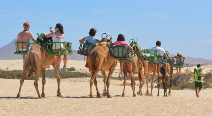 Canarias desarrolla su propio "Booking" para canalizar toda la oferta turística