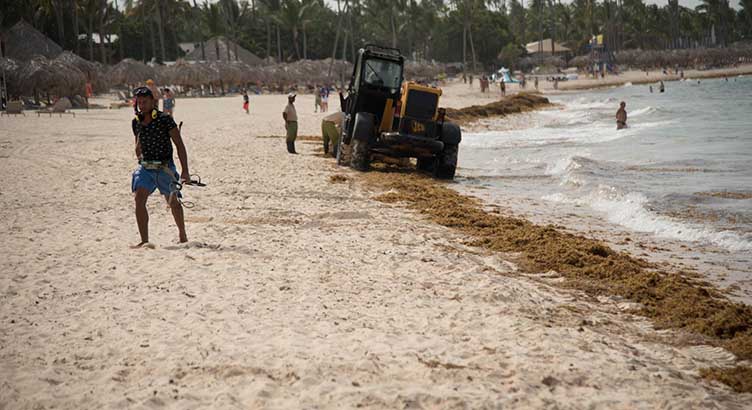 Retirando sargazo de una playa