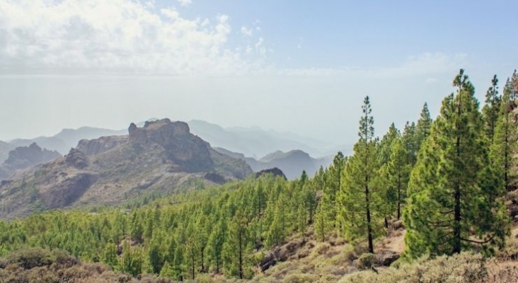 Fritidsresor anuncia vuelos extras desde Suecia a Gran Canaria para la temporada de invierno Fritidsresor anuncia vuelos extras desde Suecia a Gran Canaria para la temporada de invierno