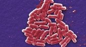 Un adolescente recibe una indemnización de seis cifras de TUI tras contraer E. coli en sus vacaciones