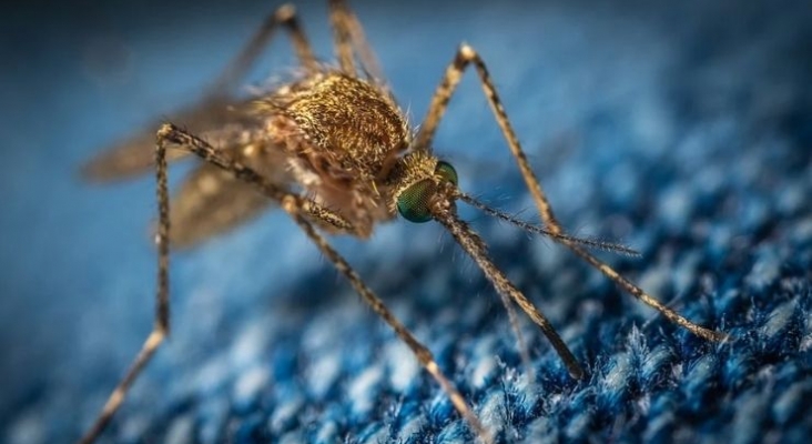 El virus Zika continúa extendiéndose por Cabo Verde