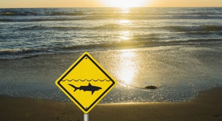 Australia utilizará drones para evitar ataques de tiburón