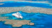 Alerta en la Gran Barrera de Coral australiana: cinco turistas muertos en un mes