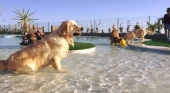 Tenerife acoge el hotel para perros y gatos más lujoso de Europa