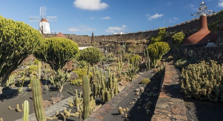 Jardín de Cactus en Lanzarote