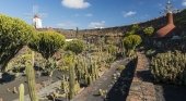 Jardín de Cactus en Lanzarote