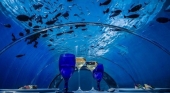 Maldivas albergará el restaurante submarino más grande del mundo