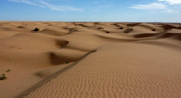 Dunas del Sáhara