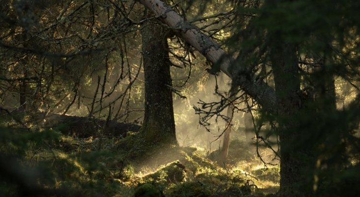 Båtstadknallen Värmland