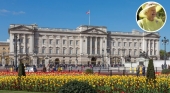 Isabel II del Reino Unido y el Palacio de Buckingham. Foto de David Iliff, CC BY SA 3.0