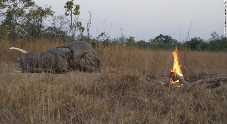 Cazador en Zimbabue