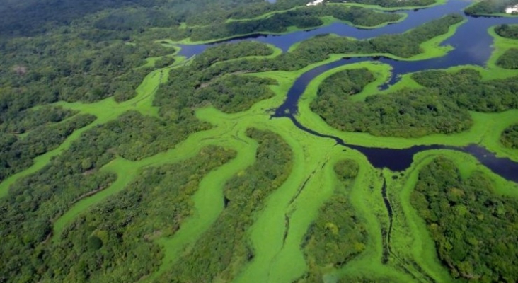 Se graba la herencia acústica del Amazonas