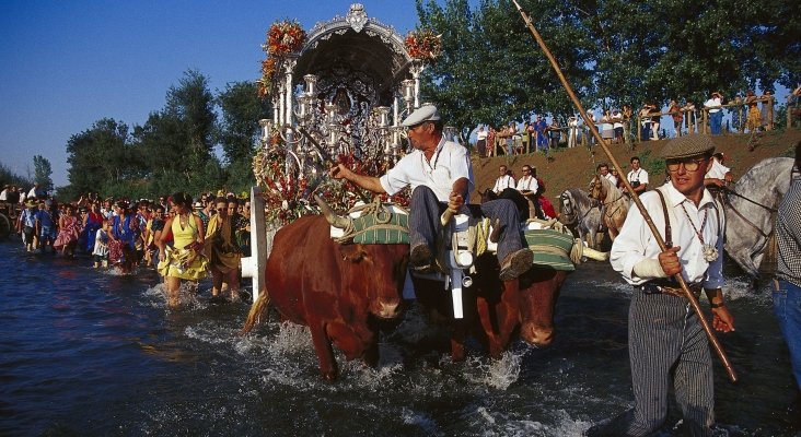 El agotamiento y el estrés matan a 9 caballos y un buey en la romería del Rocío