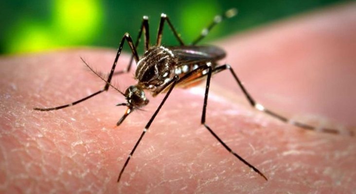 Puerto Rico declara por finalizada la epidemia de Zika