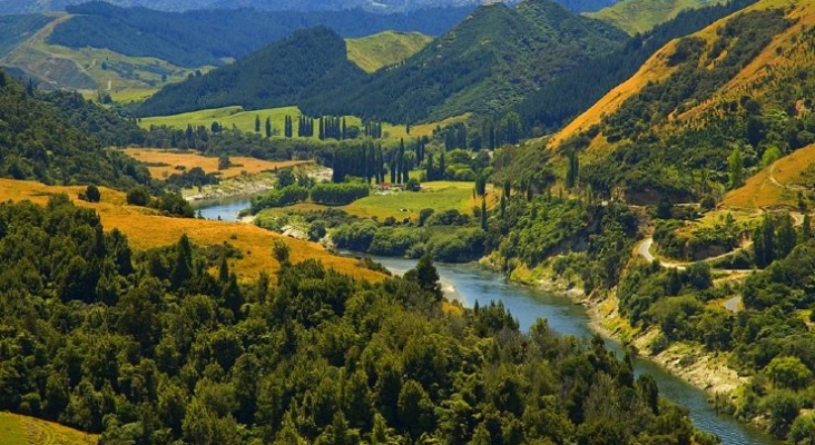 Un río neozelandés es reconocido como persona jurídica