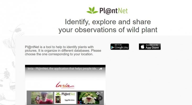 Plantnet