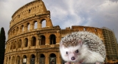 El Coliseo romano tiene nuevos inquilinos