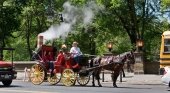 Coche de caballos en Nueva York