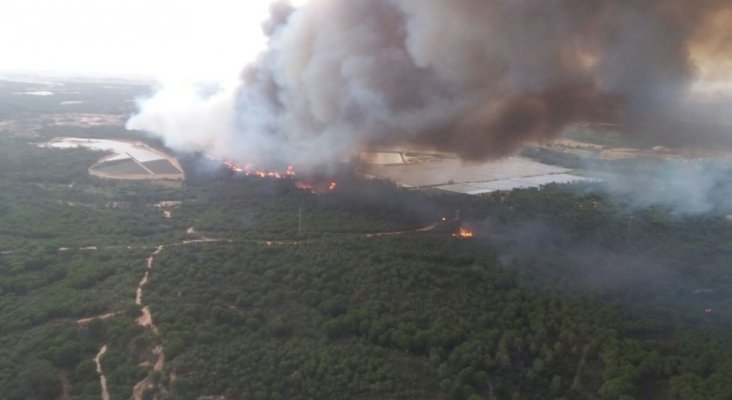 Arde la mayor reserva ecológica de Europa y Patrimonio de la Humanidad  (Foto: INFOCA)