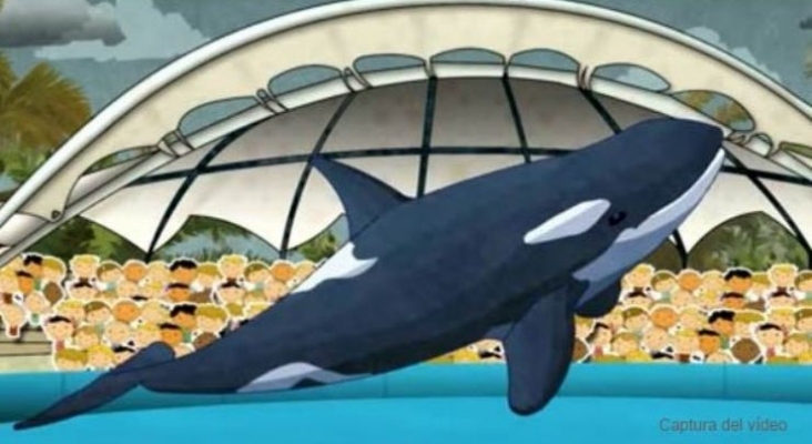 Loro Parque, en Tenerife, exige rectificación a SOSDelfines