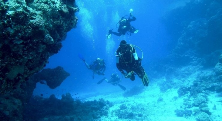 El auge del turismo de buceo pone en peligro los ecosistemas costeros