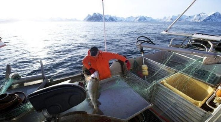 skrei skrei