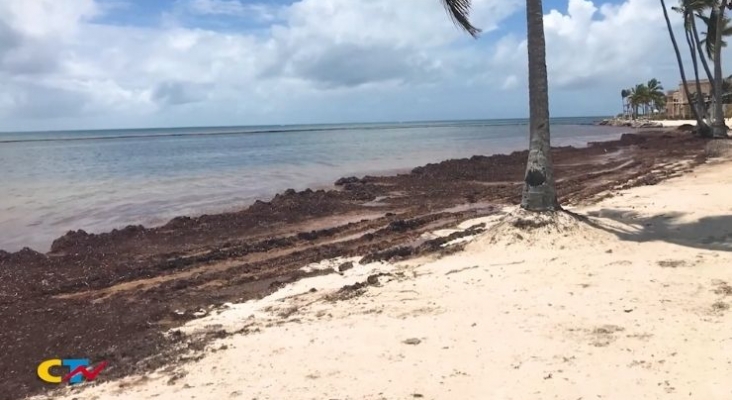 "Si no hay playas limpias, cristalinas e impecables, no hay turismo"  | Captura de video publicado por CTN Dominicano